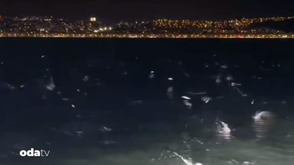 izmirde korkutan goruntu Ltfyij2i