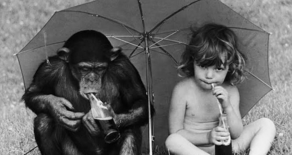 ogluyla maymunu birlikte buyuttu hayati asla eskisi gibi olmadi JQxvPvb1