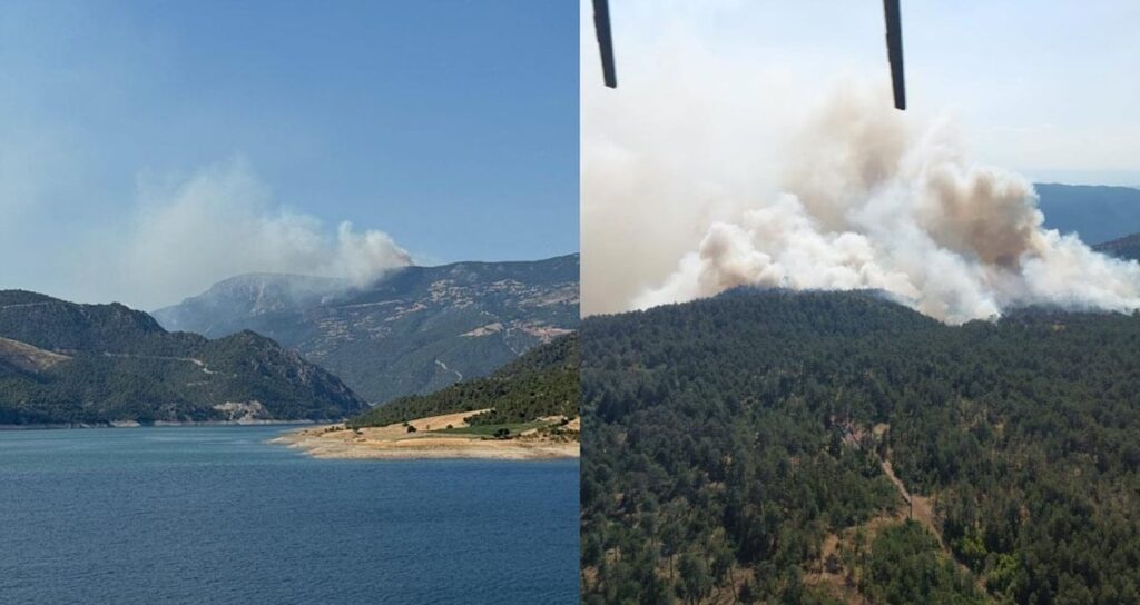 sinopta orman yangini evler tahliye ediliyor YjgKUJZW