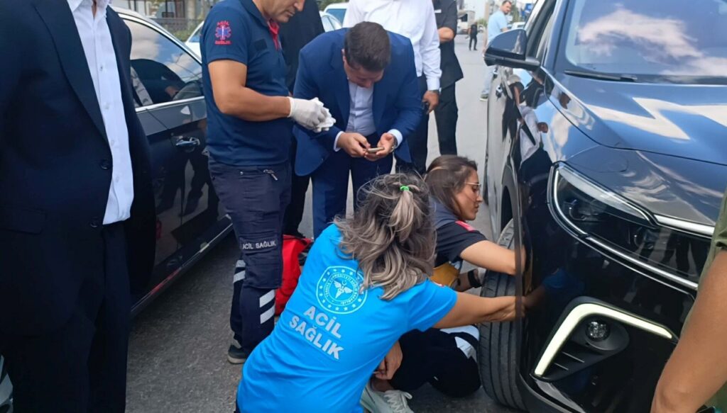 bakan konvoyunda yavru kedi alarmi 112 ekipleri kurtardi kH8nGSnQ