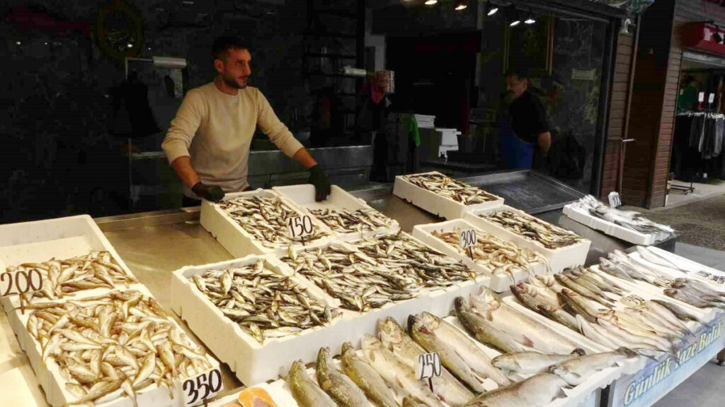 balikci palamuttan umudunu kesti hamsi ve istavrit ile teselli buluyor 2fgnx4HT