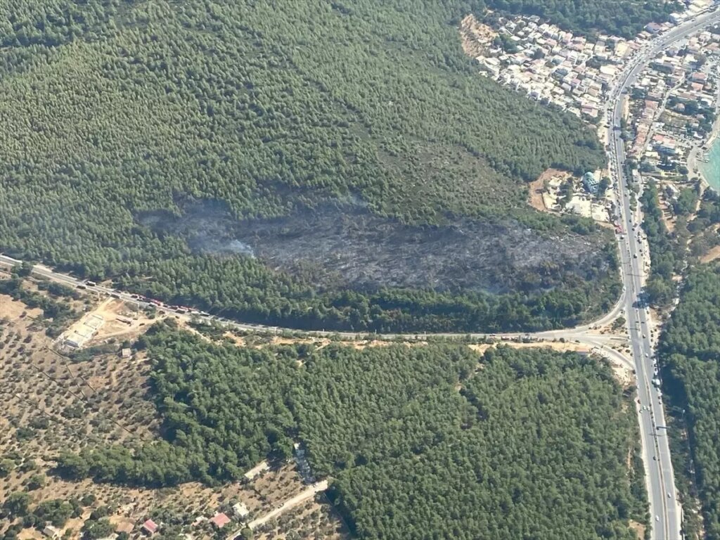 bodrumda orman yangini kontrol altinda Sy2ZOY85