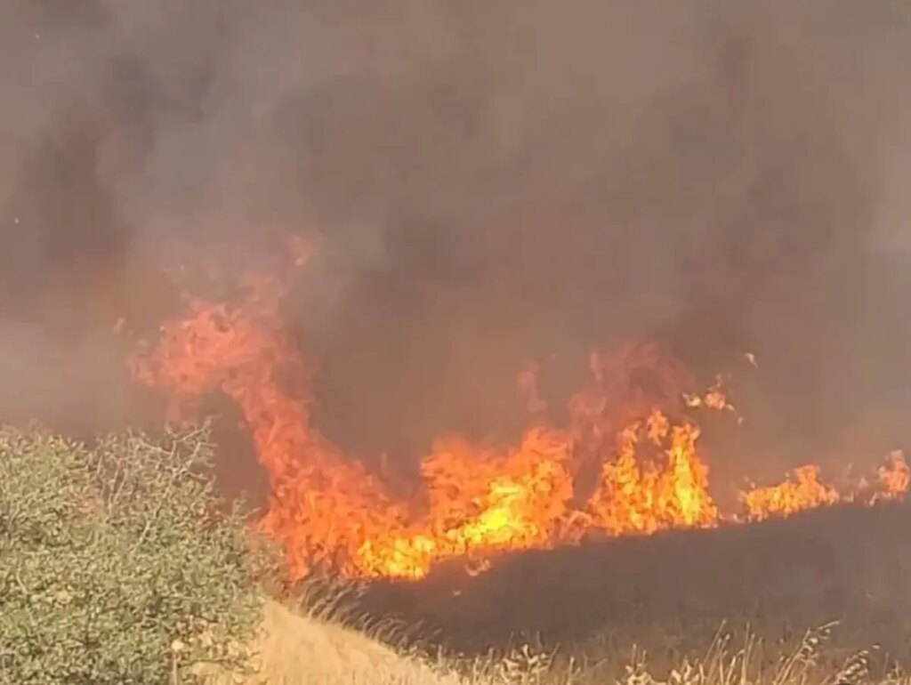 ipsalada bugday tarlasinda yangin d3dDSfE5