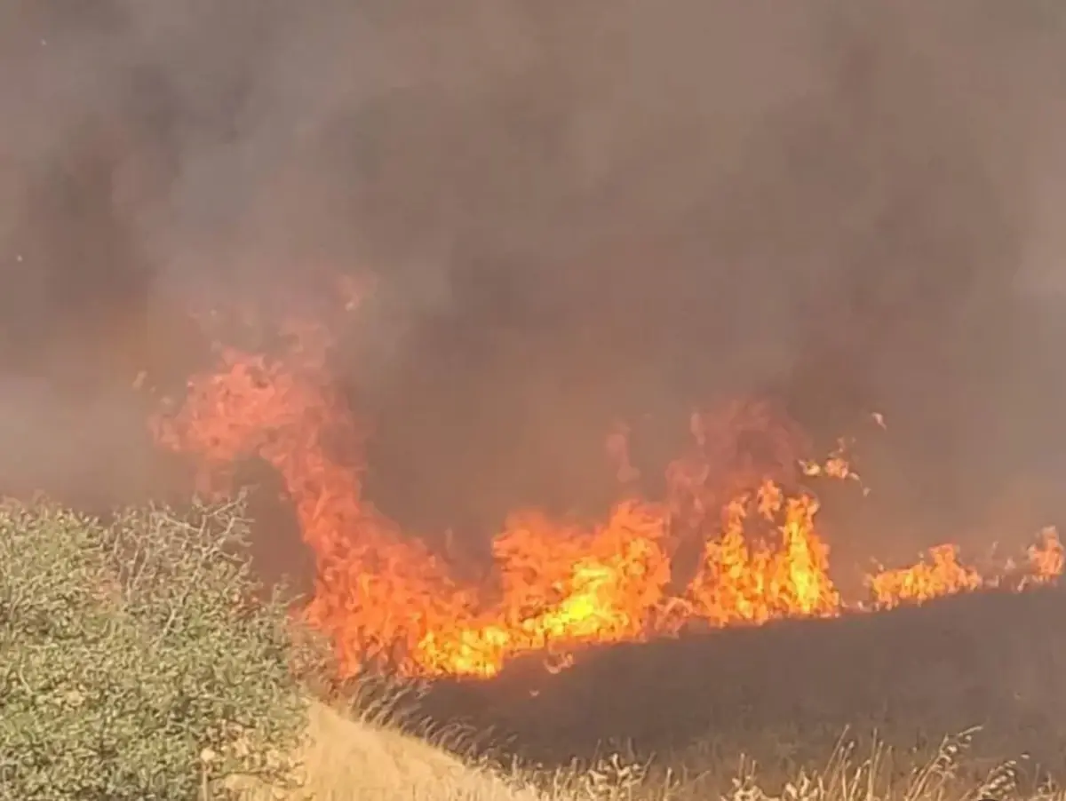 ipsalada bugday tarlasinda yangin d3dDSfE5