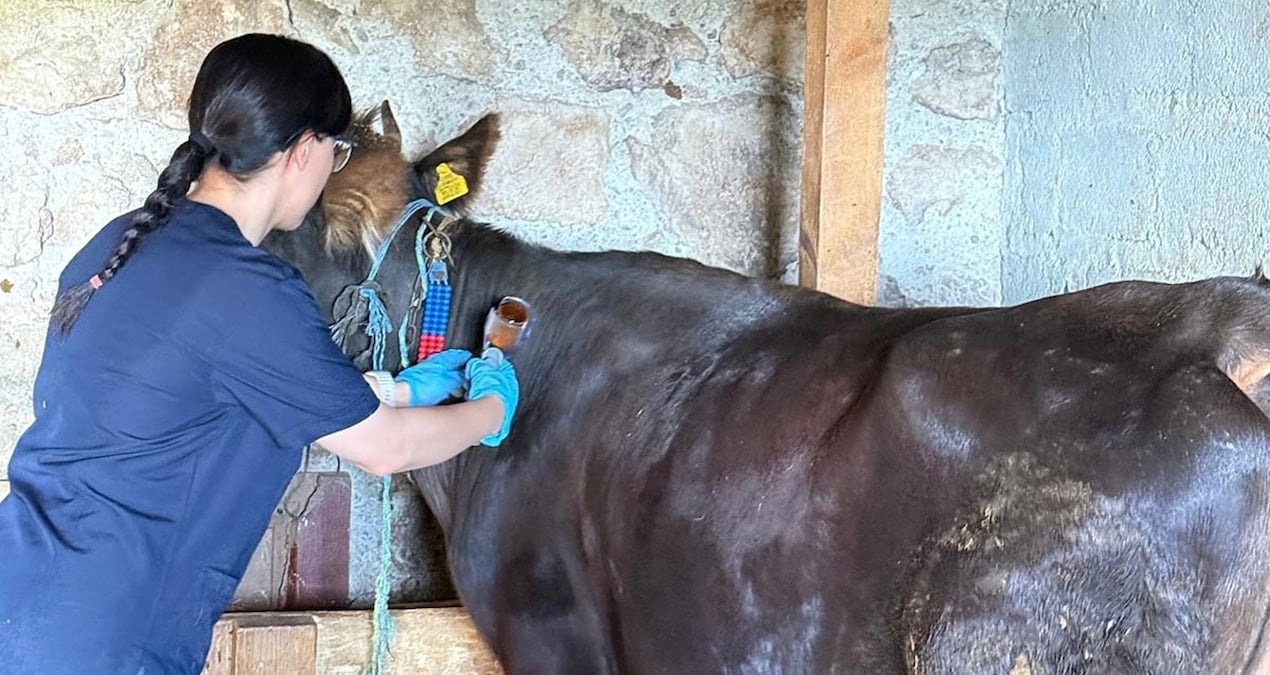 kastamonuda sap alarmi 69 koy karantinaya alindi eVeBuwlS