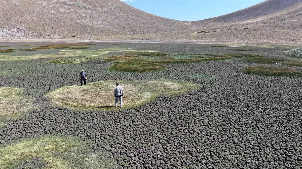 sarigol kurudu doga harikasi yok oluyor gH25MlbR