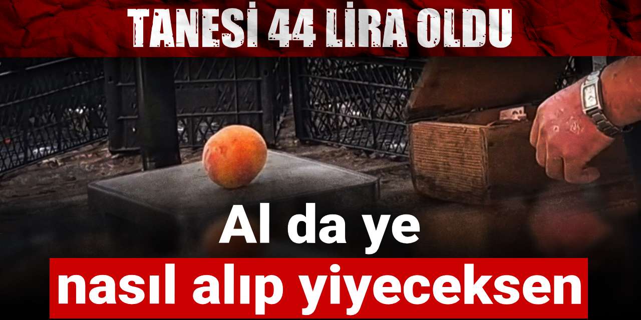 tanesi 44 lira al da ye nasil alip yiyeceksen bJWtgMtF