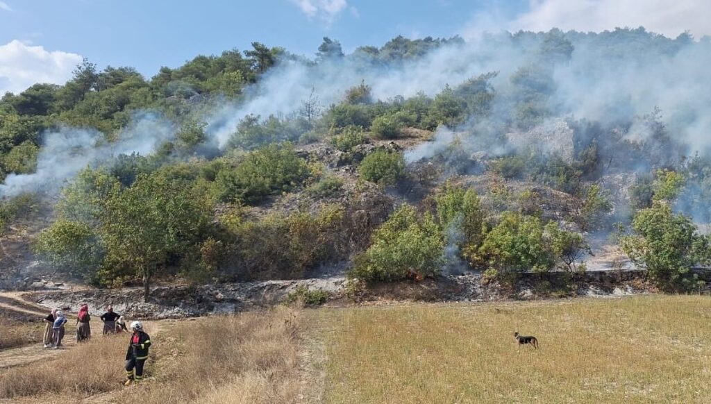Tokat’ta orman yangını