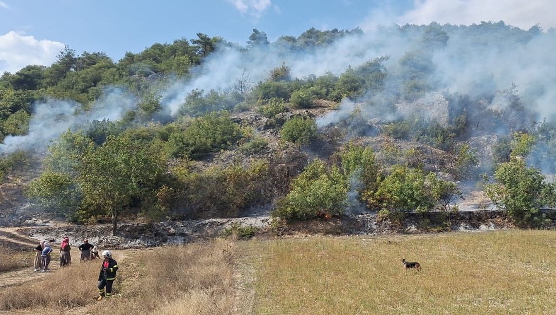 tokatta orman yangini ecvg6E2X