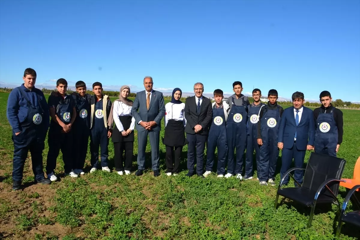 battalgazi tarim lisesinde misir hasadi gerceklestirildi vrVp66BF.jpg