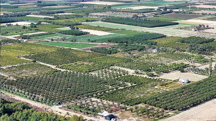 egede ciftciler ekim yagmurlariyla nefes aldi BfA2Xszq.jpg