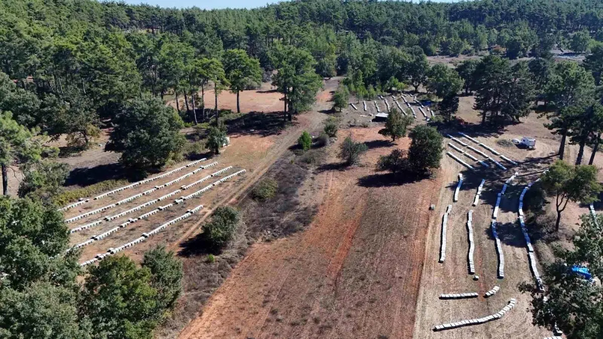 muglada cam bali rekoltesi 20 bin ton bekleniyor vSmLxIIp.jpg