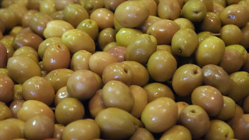 sofralik zeytin ihracatinda tarihi basari 255 milyon dolar RFu47WQF