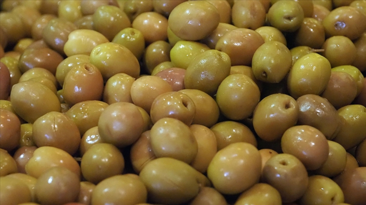 sofralik zeytin ihracatinda tarihi basari 255 milyon dolar RFu47WQF