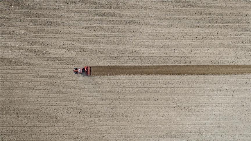 tarim ufe eylulde artti igLvAAQP.jpg