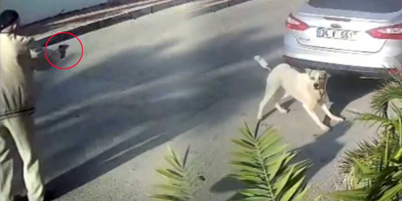 mahallelinin 12 yildir baktigi kopegi ates ederek katletmisti emekli polis hakkinda yakalama emri yPfgeEIm.jpg