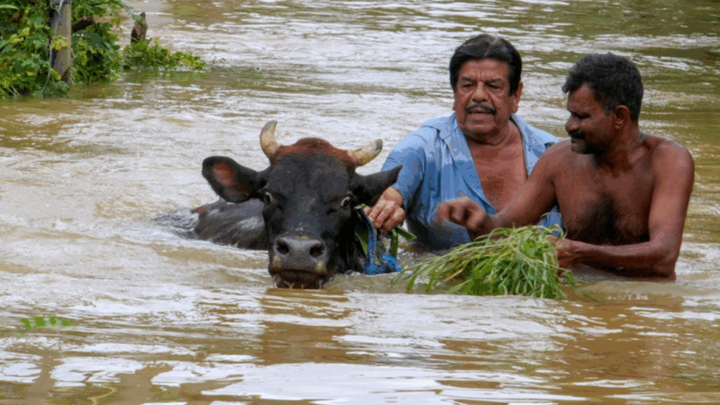 Sri Lanka’da felaket: 200 kişi öldü, yüzlerce kişi kayıp