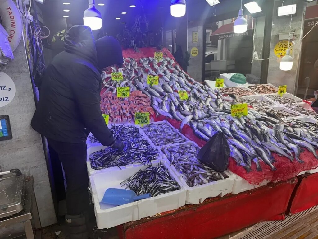Samsun’da Hamsi Fiyatları 130-150 Lira
