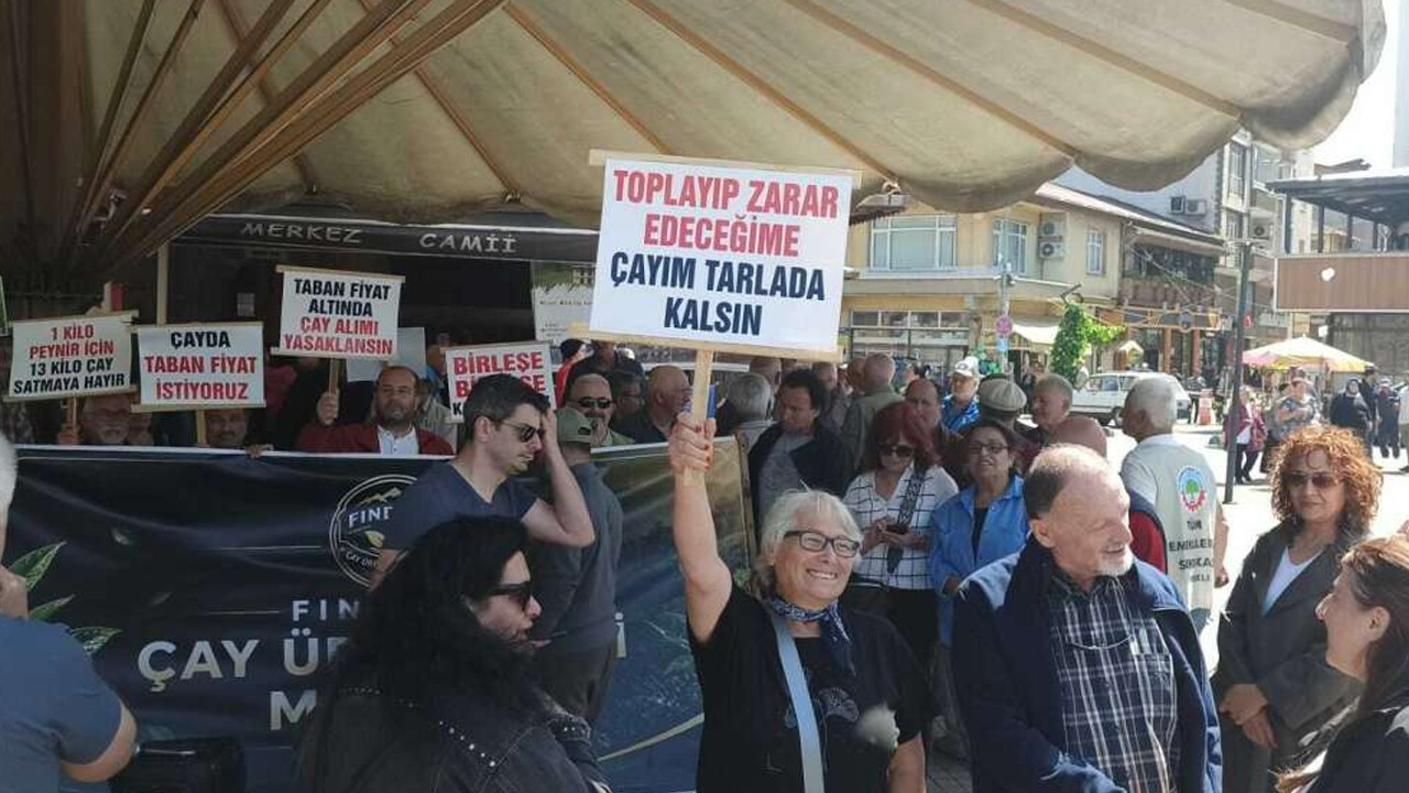 rize-findiklida-cay-ureticilerinden-35-tllik-fiyat-kararina-sert-tepki-bjSMVvJu