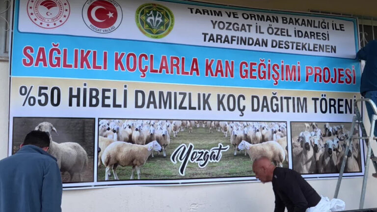 yozgatta-kucukbas-hayvancilikta-verimi-artiracak-kan-degisimi-projesi-basladi-gUjNBSs6