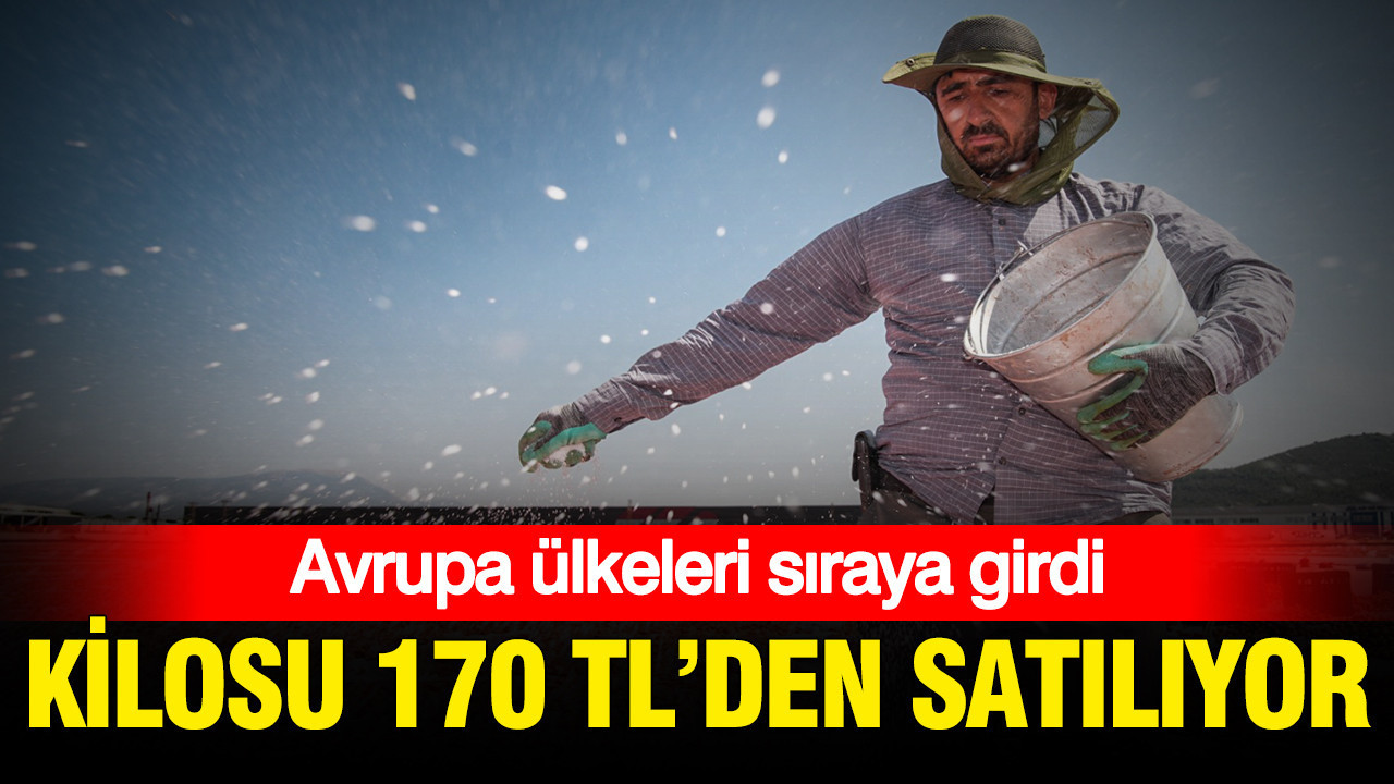 Kilosu 170 TL’den satılıyor: Avrupa ülkeleri sıraya girdi