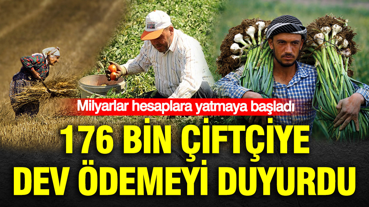 TMO’dan rekor hububat alımı: Milyarlar hesaplara yatmaya başladı